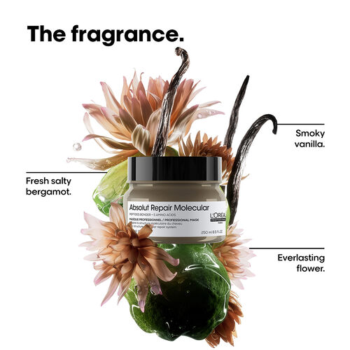 Absolut Repair Molecular Concentrated Repairing Mask - QuickOrder | L'Or&eacute;al Partner Shop